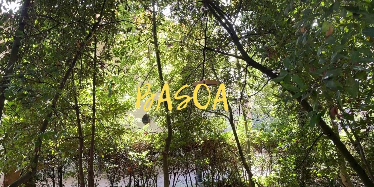 BASOA