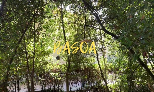 BASOA