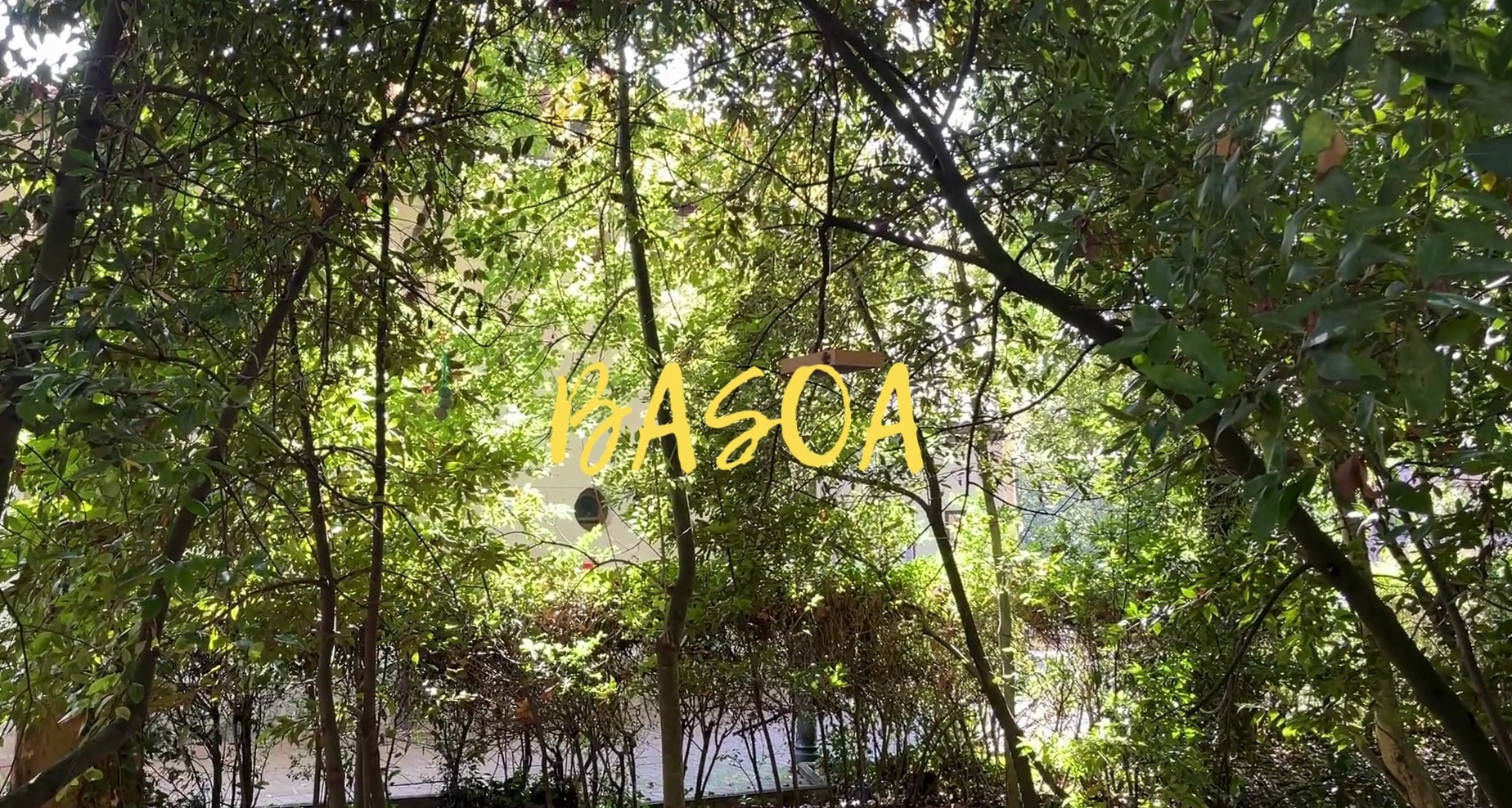 BASOA baratzea 2024-25