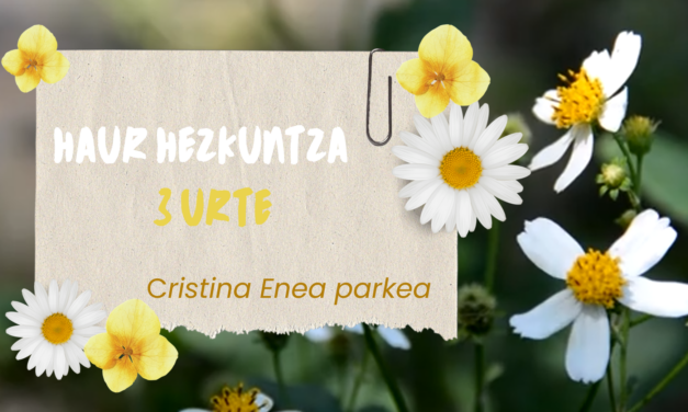 Cristina Eneara irteera, HH 3 urte