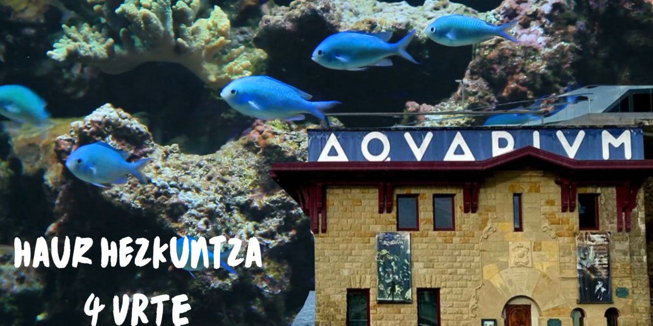 Aquariumera irteera, 4 urte